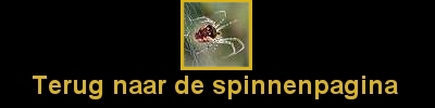 Klik hier om terug te gaan naar de spinnenpagina
